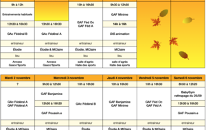 Stages d'automne groupes Compétition GAF - GAc